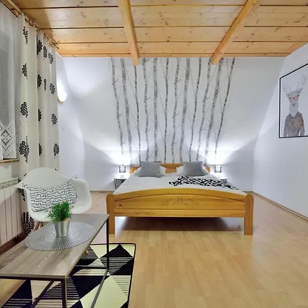 Kurosowy Potok Centrum Homestay